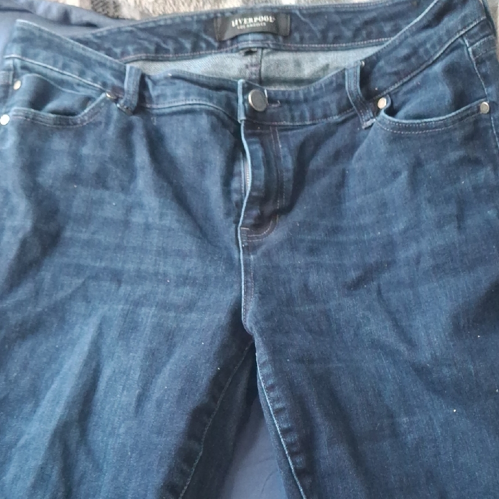 Liverpool Women's Dark Blue Skinny Jeans